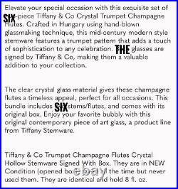 6 Tiffany & Co Crystal Trumpet Champagne Flutes Hollow Stemware Signed With Box