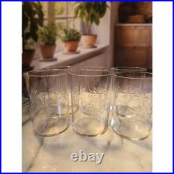Antique Etched Starburst Crystal Glasses with Silver Schott Jenae glass holders