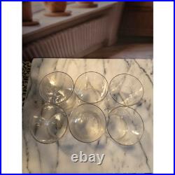 Antique Etched Starburst Crystal Glasses with Silver Schott Jenae glass holders