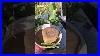 Bring A Laser Engraving Machine To Set Up A Stall To Carve Stones Both Large And Small Stones Can