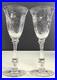 Cambridge Achilles Wine Glasses Set of 2 Vintage
