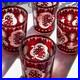 Egermann Bohemian Ruby Red Cut-to-Clear Crystal glassware Tumblers Czech barware