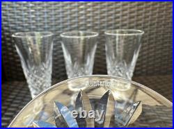 Exquisite Set of 4 WATERFORD CRYSTAL Kenmare (Cut) Fluted Champagne Glasses MINT