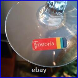 Fostoria Vintage Crystal Etched glassware set