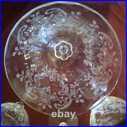 Fostoria Vintage Crystal Etched glassware set