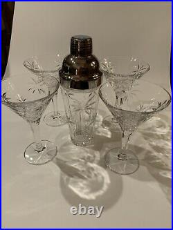 Godinger Palm South Beach Crystal Martini Set 4 Glasses and shaker