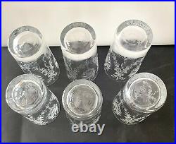 Heisey Orchid Etched 12 Oz Tumbler/ Water Glass SET Of 6