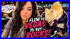 I Flew To Las Vegas To Buy Crystals Jogs Gem Show Vlog March 2026