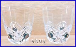 Lalique Florida Rock Glass Pair Set Relief Design Glassware Drinkwar Tableware