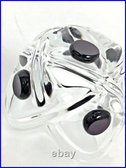 Lalique Florida Rock Glass Pair Set Relief Design Glassware Drinkwar Tableware