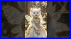 Magical White Gown Fairy Cat Royal Princess Kitty Luxury Diamond Exhibition Magicalfairycat