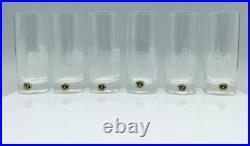 RARE Set of 6 Carl Rotter Lubeck Crystal Tumbler Glasses-Etched Cathedrals