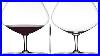 Riedel 00 Collection 001 Red Wine Glass Elevate Your Wine Experience