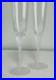 Sasaki Lily of the Valley Crystal Champagne Flutes 2 Pc Set Frosted Stems