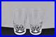 Set Of 2 Waterford Crystal Lismore Flat Tumblers/glasses #1 Mint