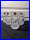 Set of 6 Vintage Cristal D’Arques Longchamp Lead Crystal Tall Glasses NEW FS