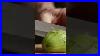Sharp Knife Slicing A Glass Avocado Stunning Ai Animation