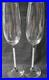 Swarovski Crystal Crystalline Toasting Flutes (set of 2)