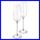 Swarovski Crystalline Toasting Flutes Set Of 2 Champagne Crystal Stem 255678 NIB