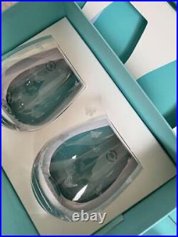Tiffany & Co. Sold Out Pair of Crystal Glasses Butterfly Pattern Limited Rare