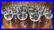 VTG 24 Crystal Glass Set Etched Berry Leaf Wine Goblet Champagne Sherry Portugal