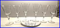 VTG Libbey Rock Sharpe Optic Fernwood Patt. 2010 Wine/Water Cry. Goblet set of 6