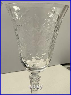 VTG Libbey Rock Sharpe Optic Fernwood Patt. 2010 Wine/Water Cry. Goblet set of 6