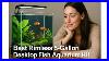 Vimvins 5 Gallon Glass Small Fish Tank Best Rimless 5 Gallon Desktop Fish Aquarium Kit