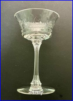 Vintage 1940s Etched Fern Leaf Pattern Wine Glass Champagne Coupe Set Of 13 Vintage 1940s Etched Fern Leaf Pattern Wine Glass Champagne Coupe Set Of 13