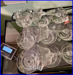 Vintage 1940s Etched Fern Leaf Pattern Wine Glass Champagne Coupe Set Of 13 Vintage 1940s Etched Fern Leaf Pattern Wine Glass Champagne Coupe Set Of 13