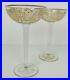 Vintage Antique 1930’s Gold Etch Coupe Hollow Stem Champagne Glass Set 2