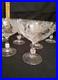 Vintage Clear Etched Floral Glassware Set Goblet Coupe Pitcher Mug Decanter