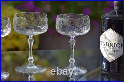 Vintage Etched Crystal Cocktail Glasses Champagne Coupes, Set of 4, 1940's