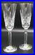WATERFORD GOLDEN LISMORE Champagne Flutes Set of 2 NEW crystal wine glass tall