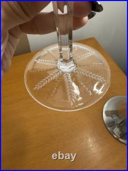 William Yeoward Cecilia Etched Crystal Water Goblets Set Of 11