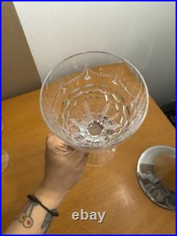 William Yeoward Cecilia Etched Crystal Water Goblets Set Of 11