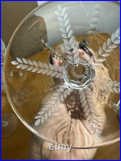 William Yeoward Cecilia Etched Crystal Water Goblets Set Of 11