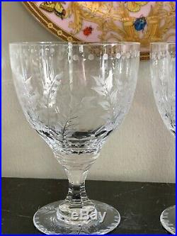 William Yeoward Fern Set of 2 Water Goblet Glasses in The Original Box